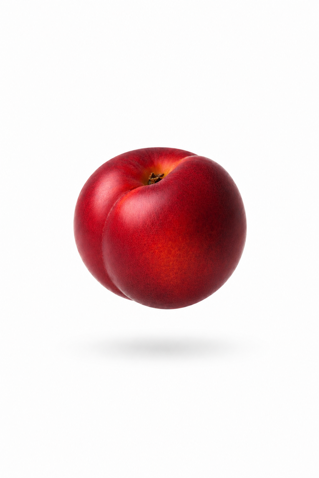 Nectarina Netix-28